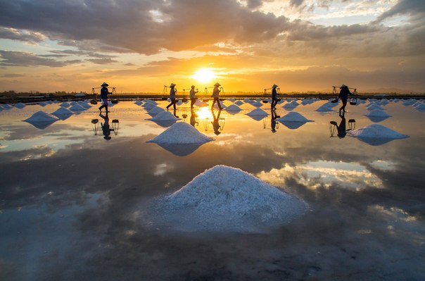 Сбор соли на закате в провинции Кханьхоа, Вьетнам.