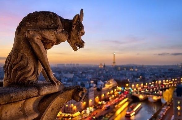 Вид на Париж с крыши Собора Парижской Богоматери.