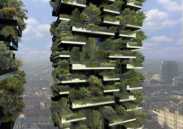 В Милане построят "вертикальный лес"