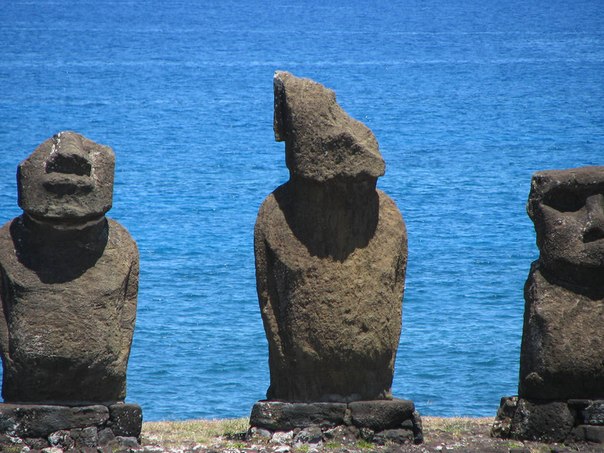 Моаи, каменные монолитные истуканы на острове Пасхи, происхождение которых до сих пор является загадкой, вопреки распространённому мнению, «смотрят» вглубь острова, а не на море, а точнее - на когда-то стоявшую перед ними деревню. Так что, все моаи, за исключением семи статуй, которые отличаются ещё и тем, что расположены внутри острова, а не на побережье, смотрят на остров. Эти истуканы были изготовлены аборигенным полинезийским населением между 1250 и 1500 гг. Сейчас известно 887 статуй.