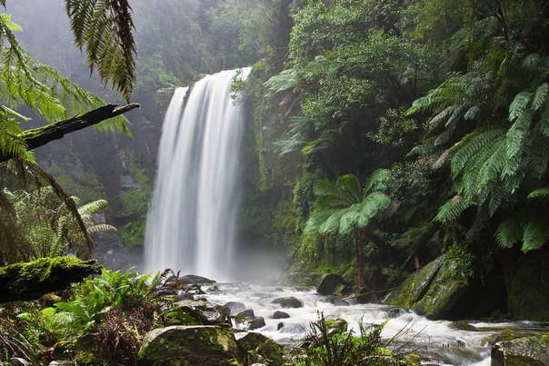 Водопад Хоуптoyн в Виктории, Австралия, в районе национального парка "Otway".