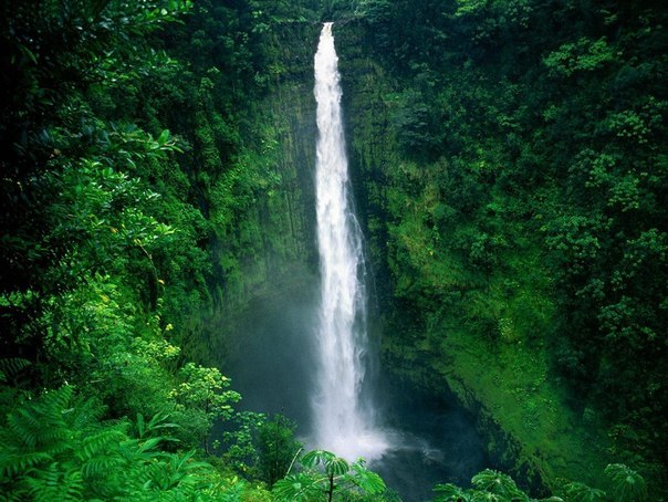 Водопад Акаку, Гавайи.