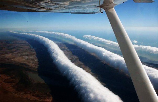 Это странные, длинные горизонтальные облака, похожие на вращающиеся трубы: до 1 000 км в длину, от 1 до 2 км в высоту. Они находятся всего от 100 до 200 метров над землей и могут двигаться со скоростью до 60 км/час.