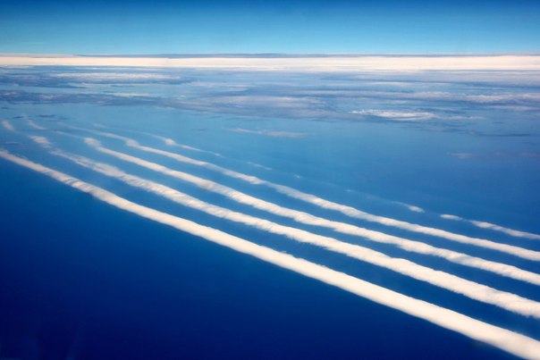 Это странные, длинные горизонтальные облака, похожие на вращающиеся трубы: до 1 000 км в длину, от 1 до 2 км в высоту. Они находятся всего от 100 до 200 метров над землей и могут двигаться со скоростью до 60 км/час.