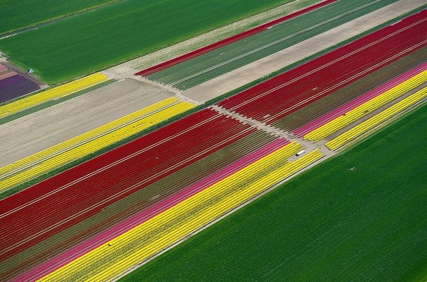 Французский фотограф Normann Szkop создал серию потрясающих аэроснимков. Все снимки сделаны с самолета в окрестностях города под названием Анна-Павловна на севере Нидерландов, в провинции Северная Голландия. Цветные геометрические фигуры на фотографиях - это аккуратно высаженные цветочные поля вперемешку с лугами.