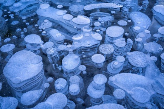 С ноября по март в озере Авраам (Канада) можно наблюдать удивительные замёрзшие пузыри метана: газ вырабатывают растения на дне.