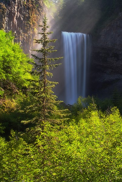 Водопад Tamanawas, штат Орегон, США.