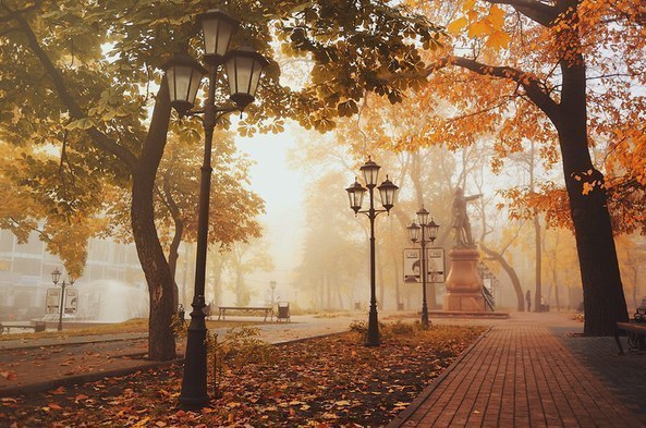Осень на улице Воронежа, Россия.