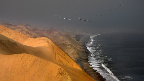 Берег Скелетов — часть побережья Намибии, располагающаяся к северу от Свакопмунда, и заканчивающаяся у устья реки Кунене в Анголе. Считается частью пустыни Намиб.