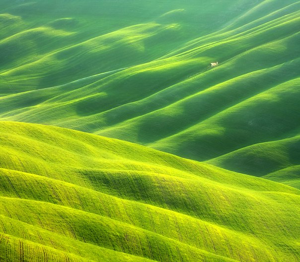 Зеленые луга Тосканы, Италия.