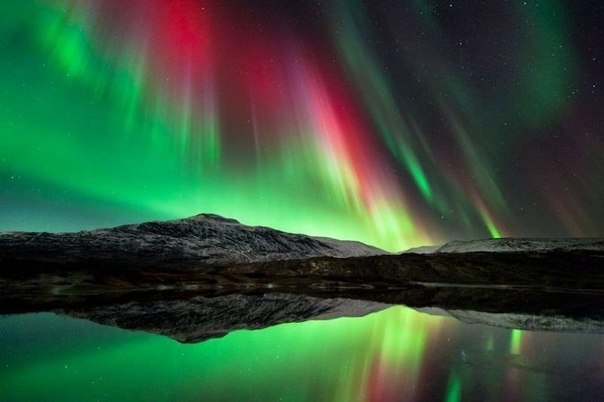 Северное сияние в небе Норвегии.