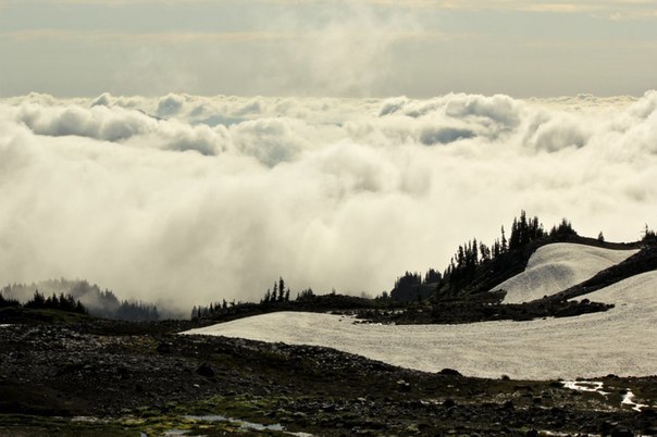 Вид в Национальном парке Гора Рейнир, Штат Вашингтон, США.