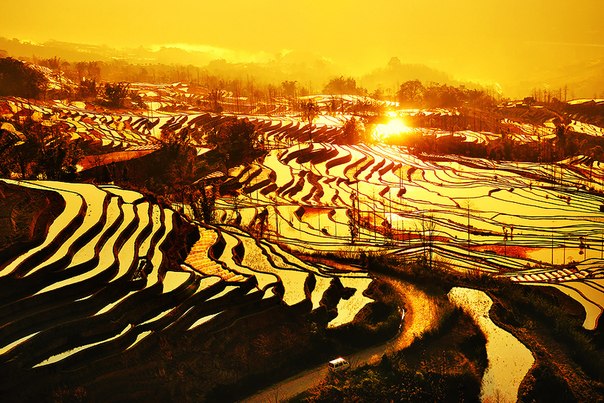 Рисовые террасы в провинции Yuanyang, Китай.