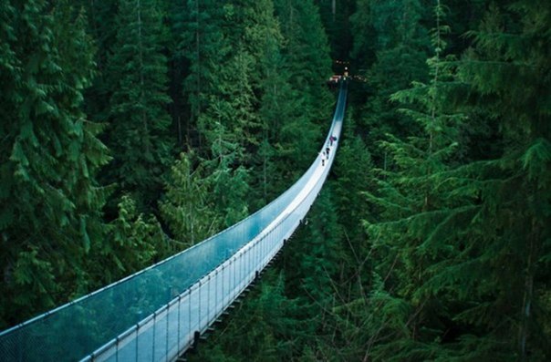 Висячий мост капилано в Ванкувере, Канада.
