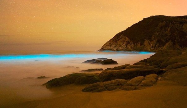 Красивые биолюминесцентные волны, Калифорния, США.