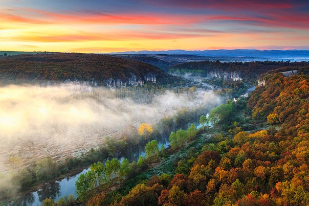 Вит — река на севере Болгарии, правый приток Дуная.