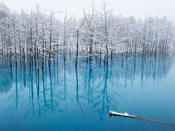 Голубой пруд, Япония.