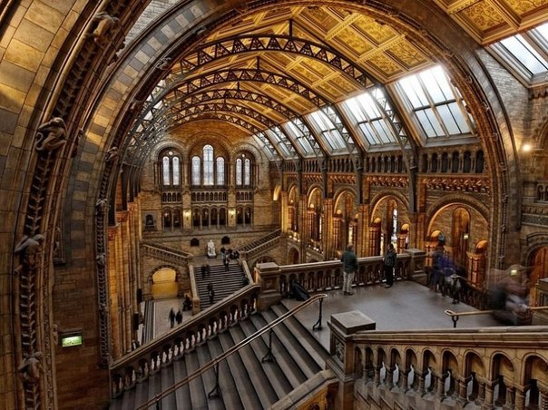Музей естественной истории в Лондоне.
