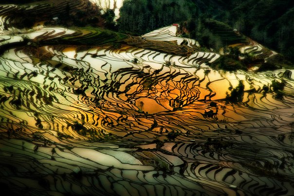Рисовые террасы, Китай.