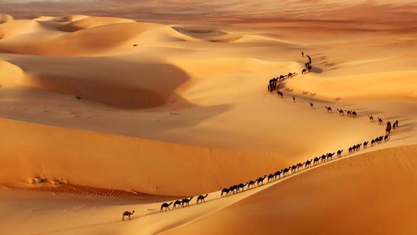 Караван в пустыне, Саудовская Аравия.