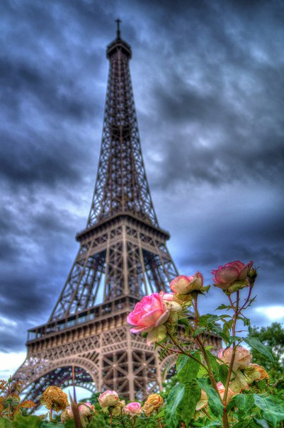 Эйфелева башня — самая узнаваемая архитектурная достопримечательность Парижа, всемирно известная как символ Франции