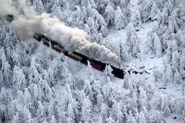 Поезд, идущий через заснеженный лес, Германия.