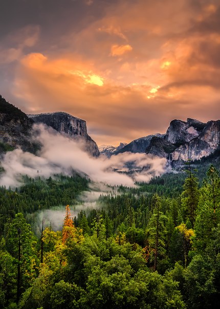 Йосе́митский национальный парк — национальный парк, расположенный в округах Марипоса и Туоломни штата Калифорния, США.