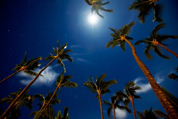 Луна и звезды...Гавайи.