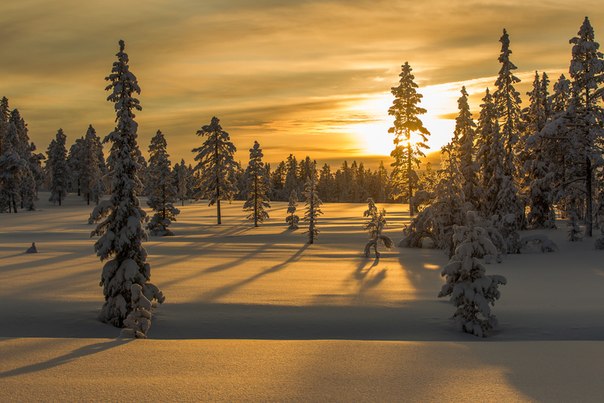 Зима в Норвегии...