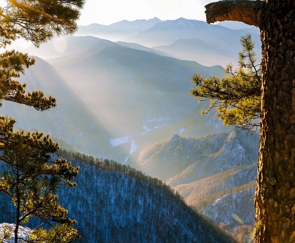Лаго-Наки   — плато на Западном Кавказе, на высоте до 2200 метров, известное альпийскими лугами.