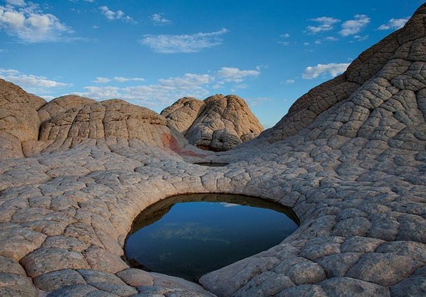 Место Белый Карман в Аризоне больше всего напоминает декорации к фантастическим фильмам. Эти миниатюрные озера были образованы из подземных вод. 