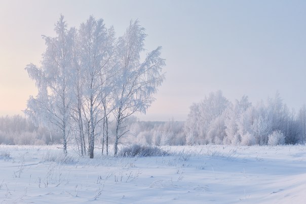 Морозное утро в Сибири, Россия.
