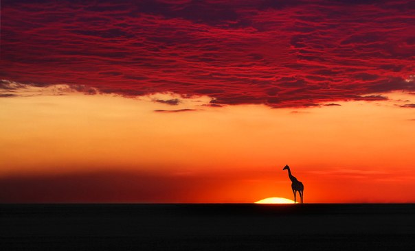"Огненный" закат, Намибия.