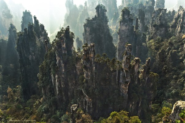 Национальный парк Zhangjiajie, Китай.