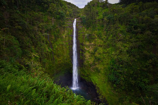 Водопад Акака — самый высокий водопад Гавайских островов, расположенный на острове Гавайи.