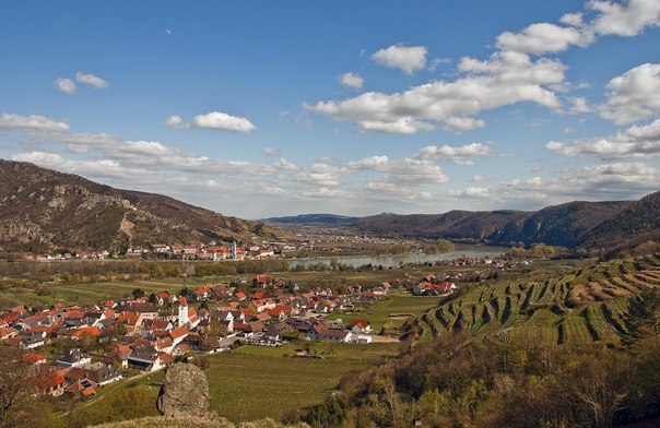 Вахау — местность в Нижней Австрии, представляет собой долину вдоль Дуная, раскинувшуюся между городами Мельк и Кремс.
