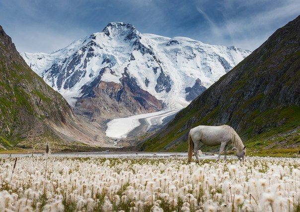 Терскей Ала-Тоо   — горный хребет в Киргизии.