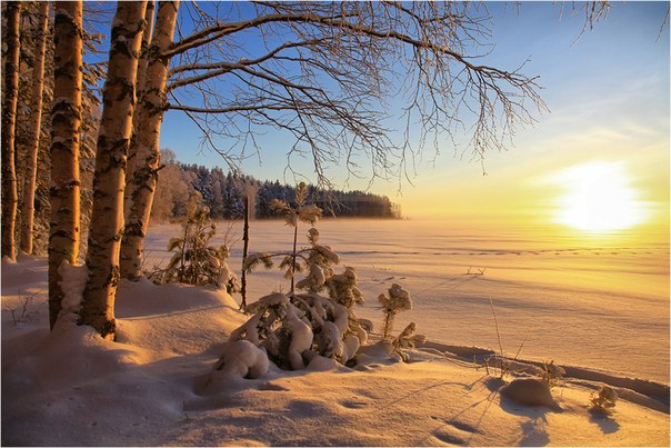 Зимнее утро, Финляндия.