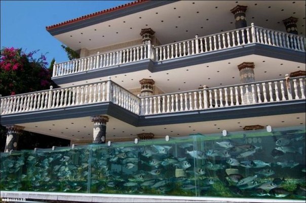 Турецкий бизнесмен Мехмет Али Гюксеоглу, проживающий в Чешме (курорт Измир), решил построить вокруг своей виллы необычный и в то же время удивительный забор, представляющий собой один большой аквариум, в котором плавают рыбы и прочие морские существа.