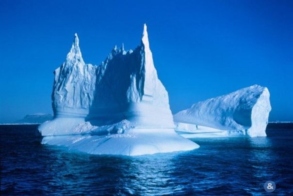 Самый большой из айсбергов был замечен в 1956 году. Его длина составляла более 320 километров, а ширина - около 96 км; это больше, чем территория Бельгии.