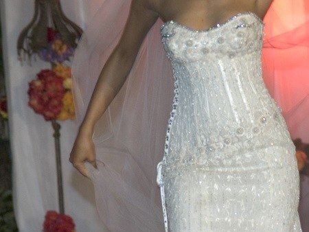 Самое дорогое свадебное платье в мире разработано компанией Diamond Wedding Gown совместно с дизайнером Renee Strausse и Martin Katz Jewellers. Шедевр стоимостью $12 млн. был создан в 2006 году и до сих пор остается не проданным.