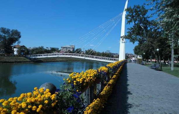 Харьков попал в Книгу рекордов Гиннеса с самой длинной цветочной клумбой