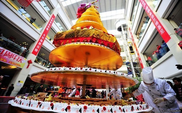 Самый большой торт был сделан в городе Luoyang, провинции Хэнань, Китай. На создание торта высотой 8 метров, состоящего из восьми слоев, ушло 500 кг яиц, 260 кг муки, 200 кг сливок, 100 кг фруктов и 80 кг шоколада. Конечный продукт весил приблизительно 2 тонны.