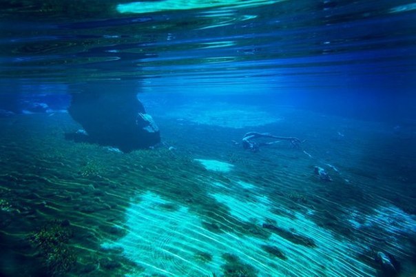 Rotomairewhenua - самое прозрачное озеро в мире. Есть в Новой Зеландии озеро, с поверхности которого можно просматривать подводный мир на глубине до восьмидесяти метров. По заявлениям ученых, озеро Rotomairewhenua или Голубое озеро по праву можно считать самым прозрачным в мире.