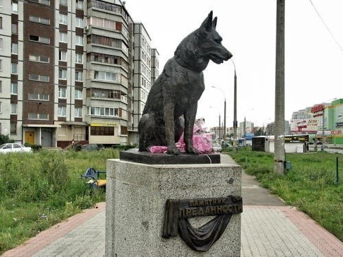 В 1995 году под Тольятти произошла автомобильная авария, в результате которой все люди погибли, но выжил пёс, который 7 лет ждал на месте аварии своих хозяев. В 2002 году он умер и жители города поставили на том месте бронзовый памятник преданности.