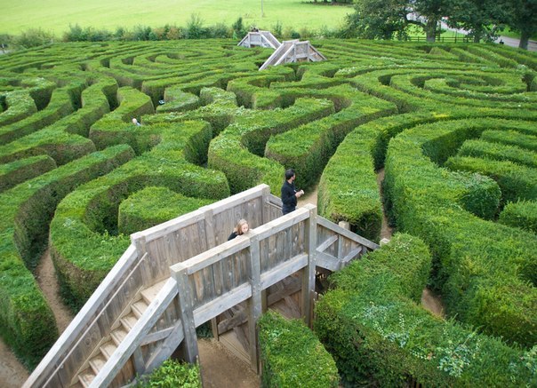 Самым длинным лабиринтом в мире является лабиринт Longleat Hedge Maze, который состоит из деревьев! Для создания этого огромного зеленого лабиринта потребовалось целых 16 000 деревьев английского тиса. Длина всех ходов – 2 700 метров.