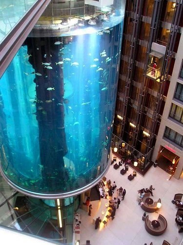 Самые большие аквариумы в мире