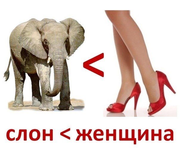 Слон давит на 1 квадратный сантиметр поверхности в 25 раз с меньшим весом, чем женщина на 13 сантиметровом каблуке.