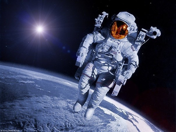 Скафандр астронавтов НАСА стоит 12-15 млн долларов.