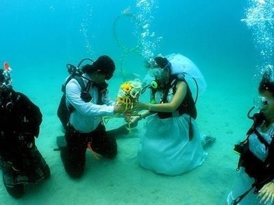 В Польше впервые в истории сыграли свадьбу под водой, которая сразу попала в Книгу рекордов Гиннесса, передают местные СМИ.